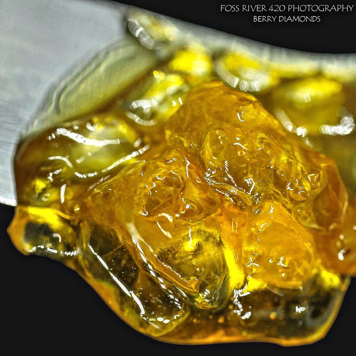 riverbliss420's tweet photo. Check out my photography page on Instagram https://t.co/fiUSa3BEjW https://t.co/evMufC9Z6O