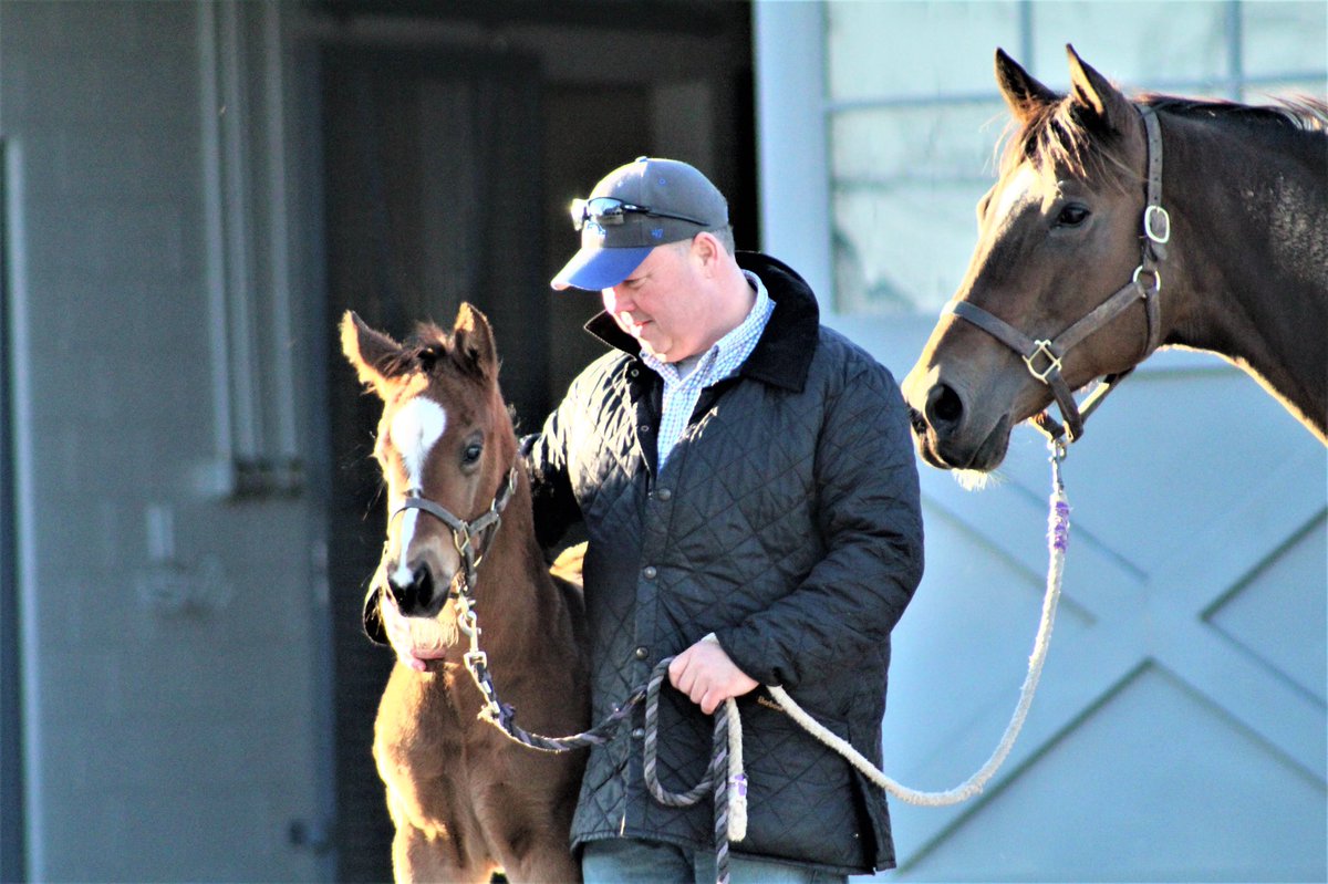 JenRoytz's tweet photo. Maiden no more! #Brownsteadbred STARTING UP broke his maiden by daylight at @GulfstreamPark
Congrats to Mike Maker, Morris Bailey and all those whoโve helped and cared for him along the way! https://t.co/Xr7vFFVeDS