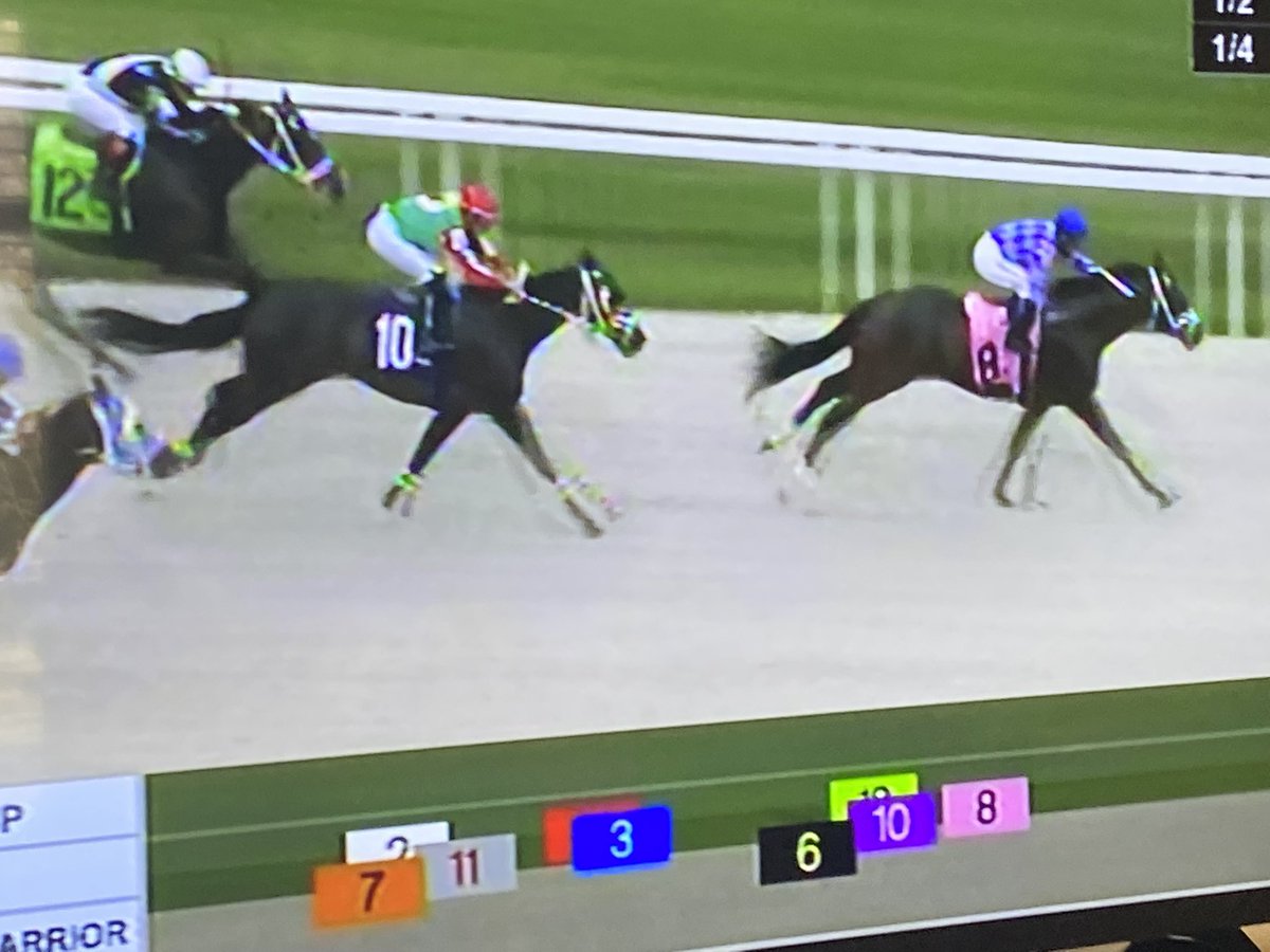 JenRoytz's tweet photo. Maiden no more! #Brownsteadbred STARTING UP broke his maiden by daylight at @GulfstreamPark
Congrats to Mike Maker, Morris Bailey and all those whoโve helped and cared for him along the way! https://t.co/Xr7vFFVeDS