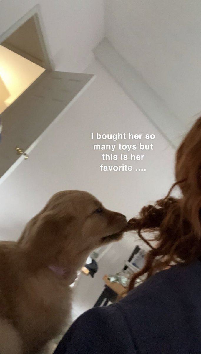 thinksdare's tweet photo. rach and lavender🥺🤲🏻✨ https://t.co/XQzYmbE3aK