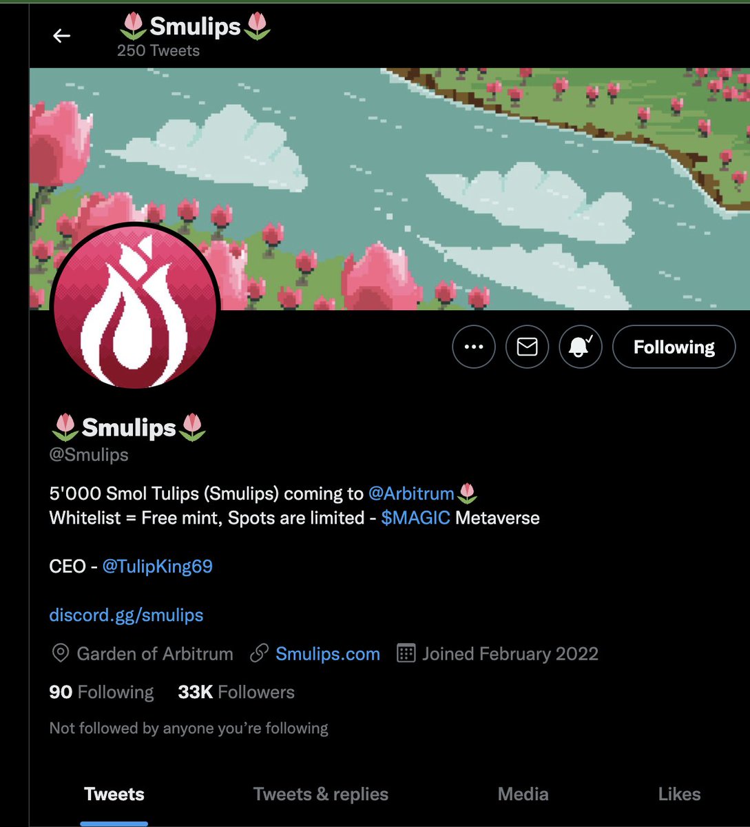 Magick Bros tweet media