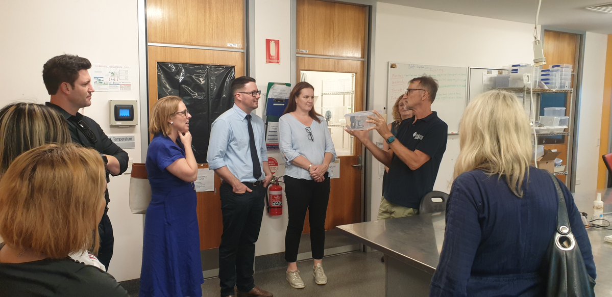 AITropHealthMed's tweet photo. Yesterday @StudyQld visited our facilities to learn about the impact of venomous jellyfish stings, mosquito control, and the use of parasitic helminths as therapeutics and diagnostic tools. 
@tradeinvestqld @TASRU_JCU @jcu https://t.co/WdciPiGryF