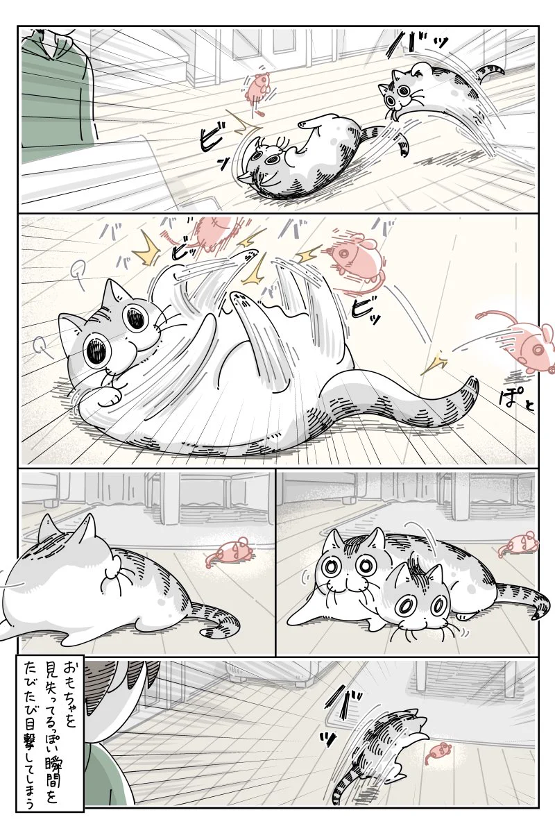 猫飼ってる人は共感間違いなし！「おもちゃを見失う猫」