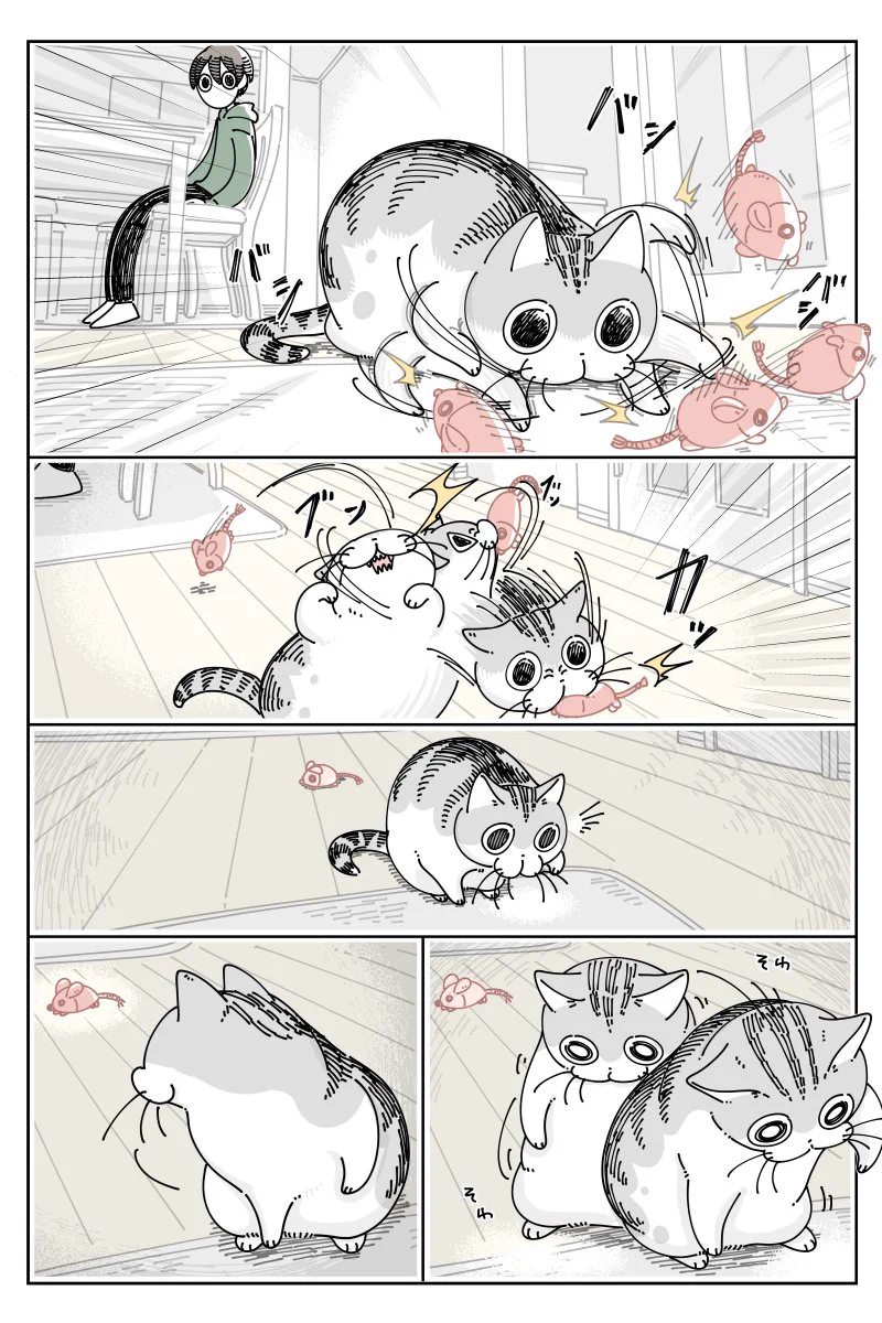 猫飼ってる人は共感間違いなし！「おもちゃを見失う猫」