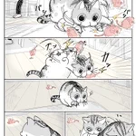 猫飼ってる人は共感間違いなし!「おもちゃを見失う猫」