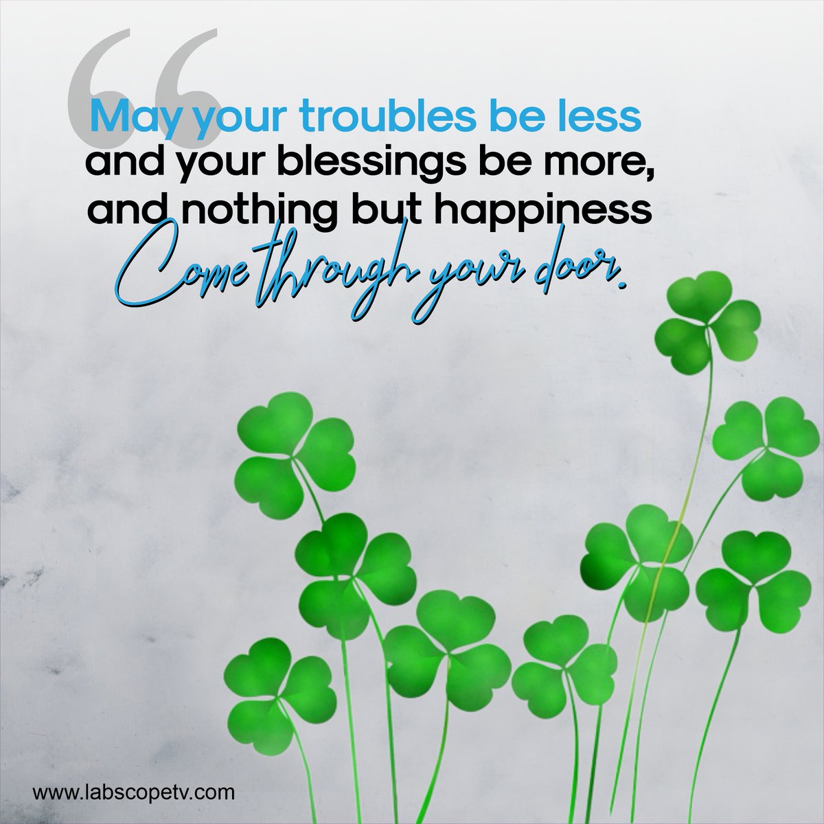 LabScopeTV1's tweet photo. May you have a blissful and prosperous celebration of this day. Sending love and blessings your way! May you be showered with love! Happy St Patrick’s day.  💚 🍀☘️ 🎩
.
#stpatrick #stpatricksday #ireland #irish #stpattysday #clover #potofgold #stpattys #paddysday https://t.co/ZhEGs2nbeE