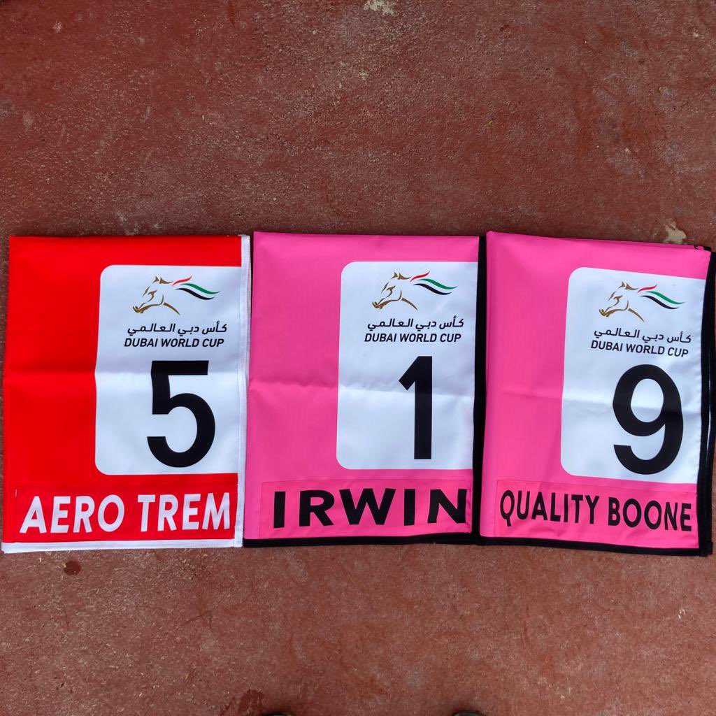 Just 8 days for Dubai World Cup. <a href="/racingdubai/">Dubai Racing Club</a>
Aero Trem, Irwin, Quality Boone 
🇺🇾🇧🇷🇦🇷🇦🇪