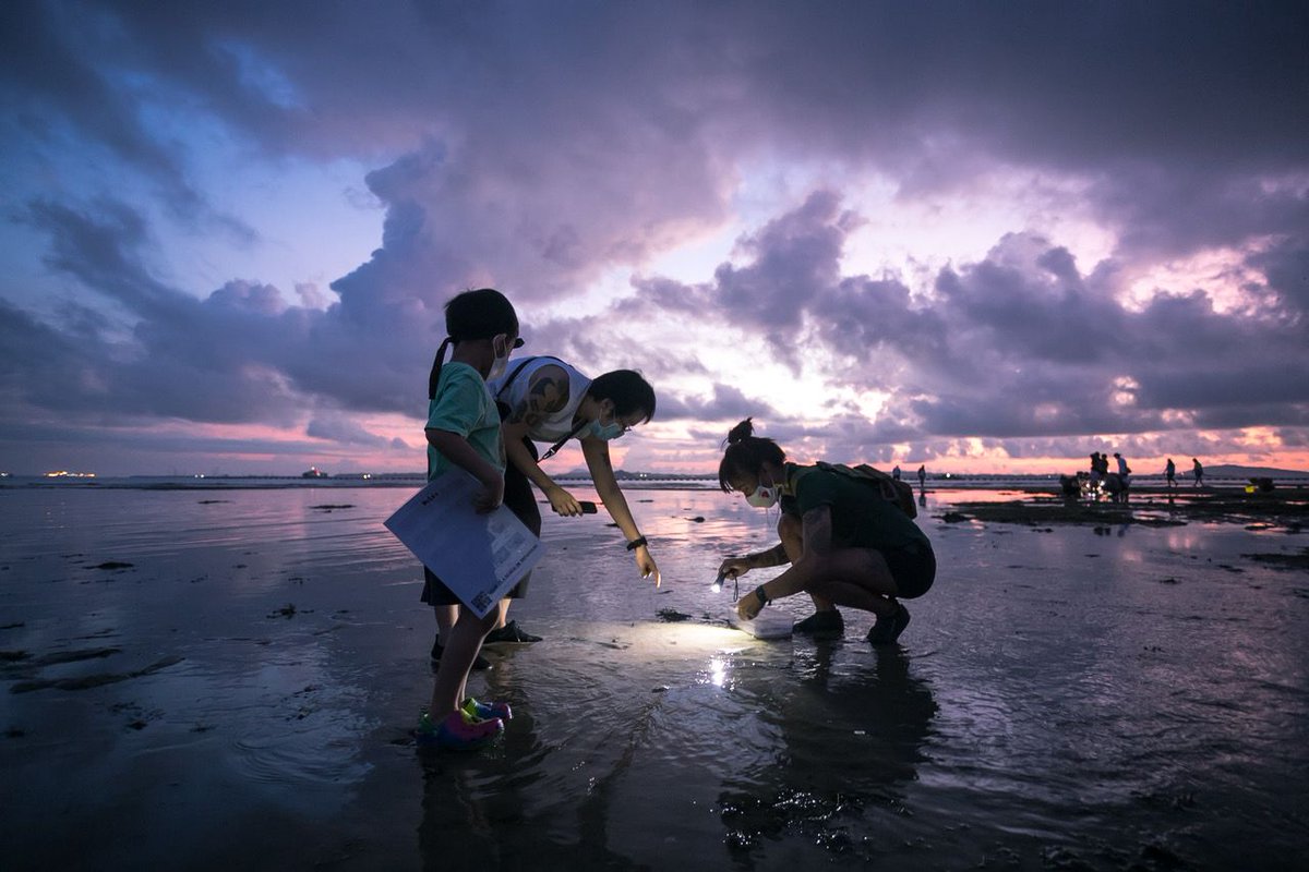 BTLifestyle's tweet photo. With the drought in travelling, here are some local experiences to try.

https://t.co/vzRJva3Sqa https://t.co/DYYV27sEtO