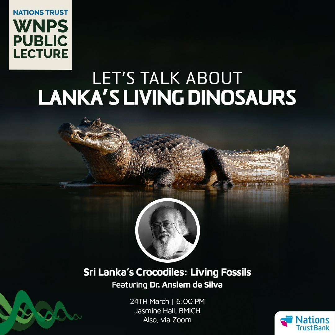 NationsTrustLK's tweet image. Demonized dinosaurs or misunderstood ancient creatures? 
Join Dr. Anslem De Silva as we dive deep into the issues surrounding Sri Lanka's Crocodiles and find ways to mitigate the relationship with them. 

#NationsTrustBank #WNPS