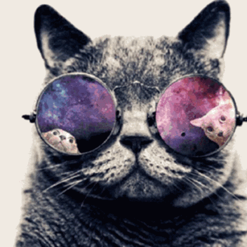 STEP1profit's tweet photo. ONE KRISALIS = ONE PLANET
#NFT #NFTplanets #NFTcommunity #HSTL https://t.co/X66XkOZ7An