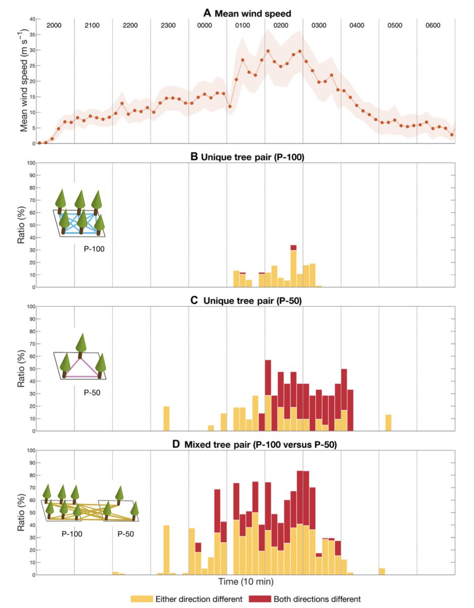 Science Magazine (@sciencemagazine) on Twitter photo Forest trees grown close together can protect each other from wind damage—even from the forceful gusts of a severe tropical storm, according to new research in <a href="/ScienceAdvances/">Science Advances</a>. fcld.ly/uyw4xsu Forest trees grown close together can protect each other from wind damage—even from the forceful gusts of a severe tropical storm, according to new research in <a href="/ScienceAdvances/">Science Advances</a>. fcld.ly/uyw4xsu