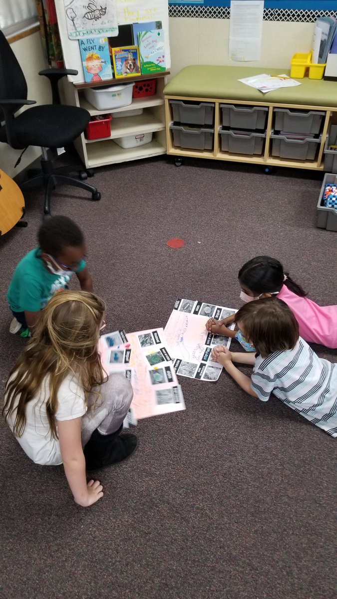 asmith_edu's tweet photo. "The Explanation Game" thinking routine variation (color coded). First, note structures of tidepools animals. Next, consider likely functions. Then, draw connections between creatures' structures. Finally, explain and listen to fellow scientists' thoughts. #dmusd #dmheights https://t.co/78DY1Dmgpi