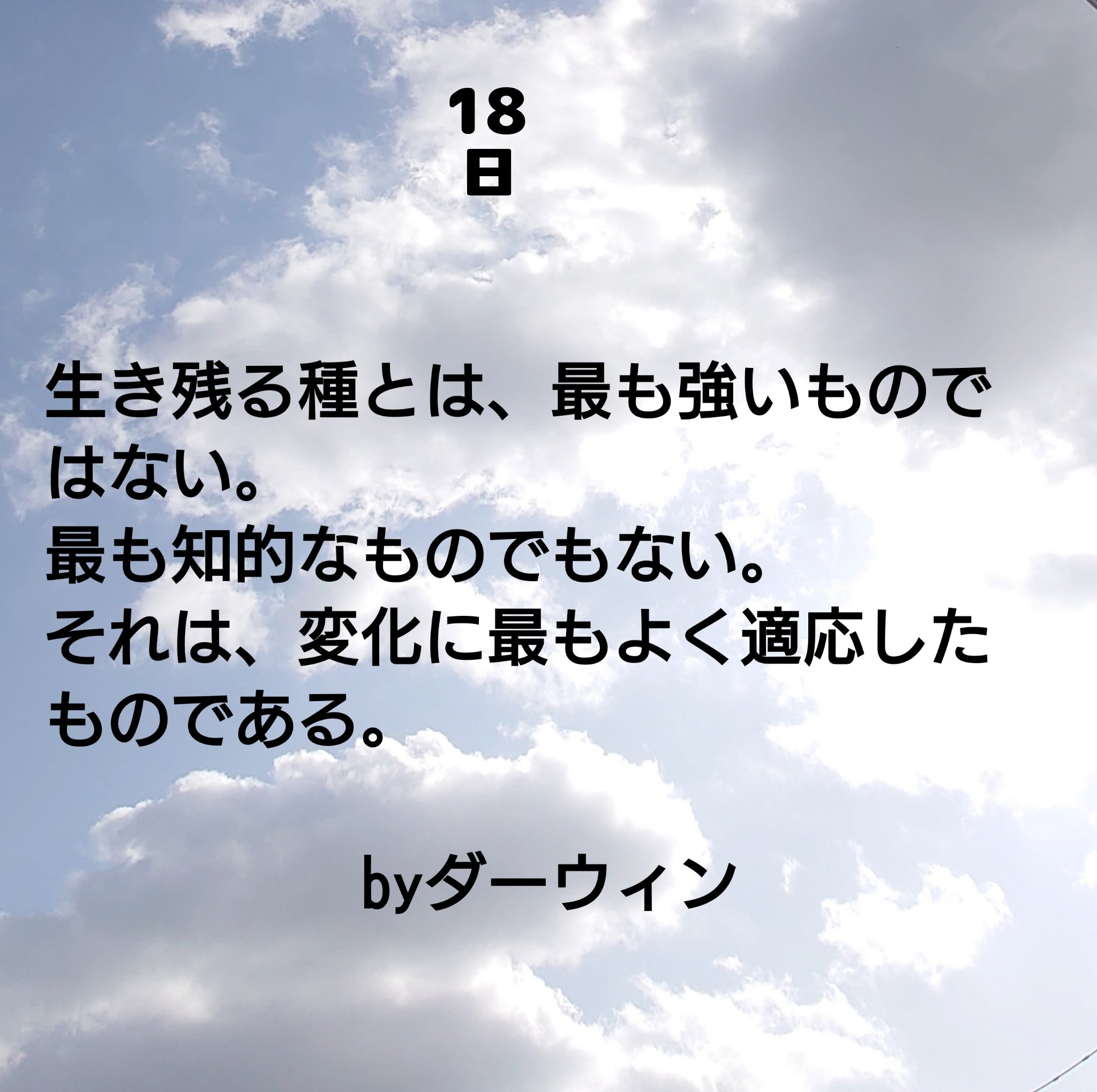 ダーウィン Twitter Search Twitter