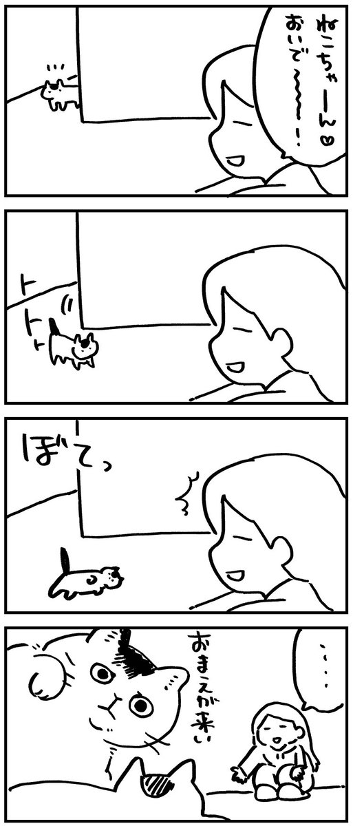 猫あるある 