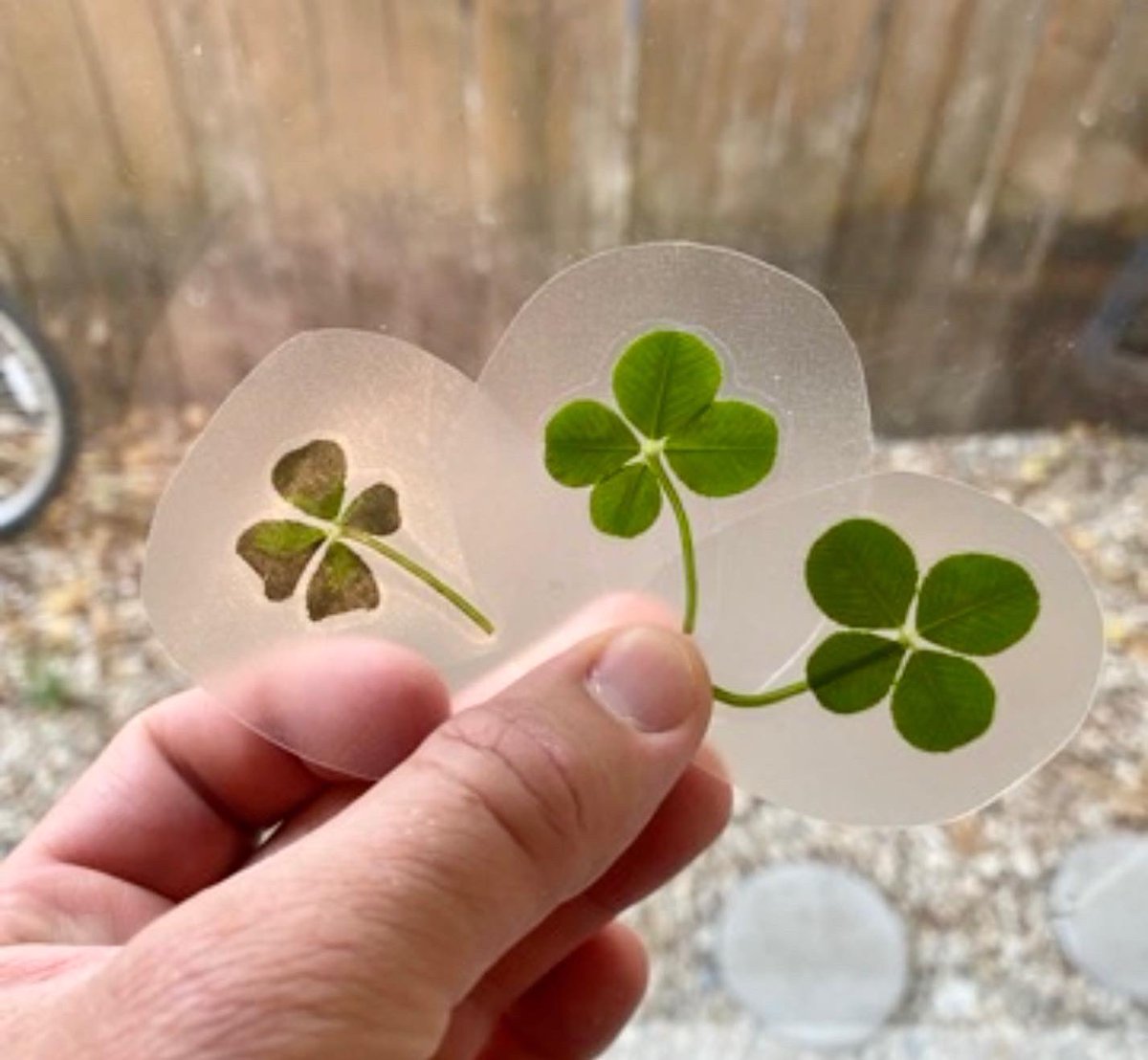 JeffPoePhoto's tweet photo. Happy #StPatricksDay https://t.co/JUCkduhiLR