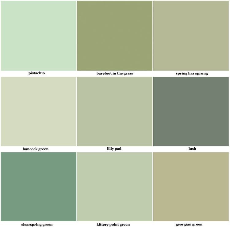 kayleens_coffee's tweet photo. Green Supremacy 🌿🪴 https://t.co/wyC4PFG8Ig