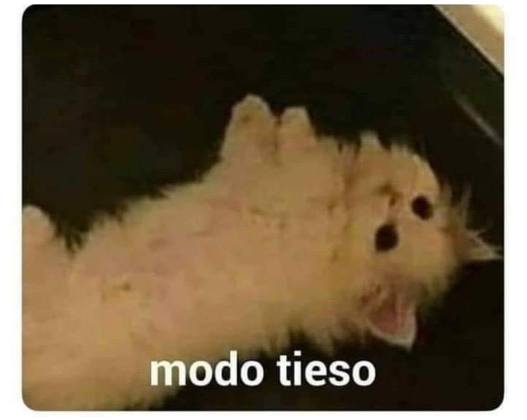 Al3jandraGon's tweet photo. Yø despertando al siguiente día de pierna https://t.co/ZOAeSFJ1zL