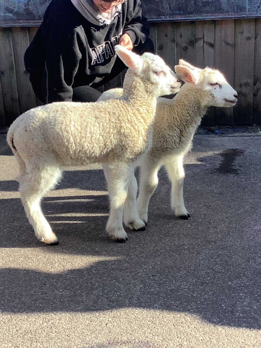 St Michaels Stone tweet media