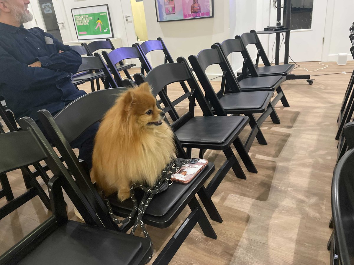A wild doge in attendance for our <a href="/unrest_world/">Unrest.world</a> accelerator pitch yesterday.
