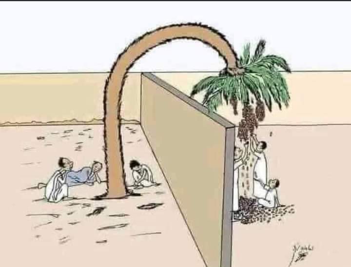 سيزر (@najemthamer) on Twitter photo 