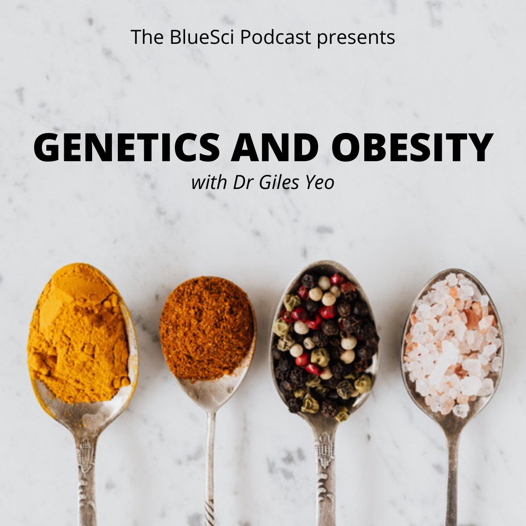NEW EPISODE! 📢
This week we spoke to <a href="/GilesYeo/">Giles Yeo</a> about his work studying the link between genetics, appetite and body weight! 🍰
Listen now on Anchor: anchor.fm/bluesci-podcas…
