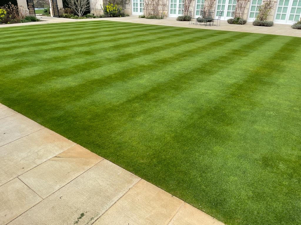 LawnAssociation's tweet photo. What's that you say? There is no way you can achieve a lush, deep green, thick lawn in the middle of March ....Ummmm we think you can!!
With a little help from the #LawnAssocation online course, @Aitkens_turf @terralift @thegrasspeople @teamsprayers & #Quadrop!
#lawn #lawncare https://t.co/JmkuvILvFY