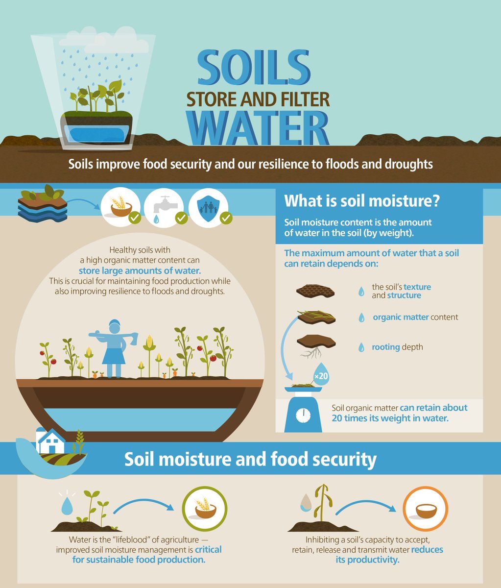 UNCCD's tweet photo. #DYK that this year's #WorldWaterDay on 22 March will focus on #groundwater?

Healthy soils have high capacity to store large amounts of water. Clean groundwater supply secures food production and builds resilience to floods and #drought. 

 📸 : @FAO #LandLifeLegacy #UNited4Land https://t.co/QpypSxAGM0