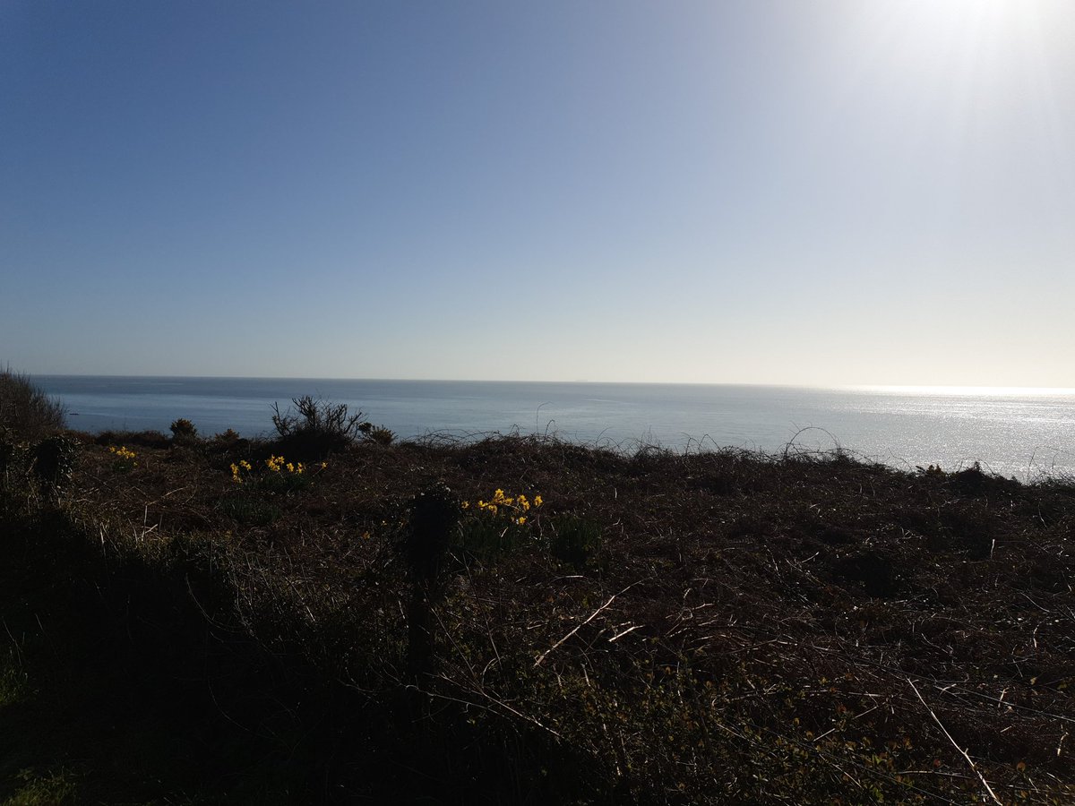 DumnoniChief's tweet photo. Rather nice for cycling #changeinweather https://t.co/g2uyP4oY75