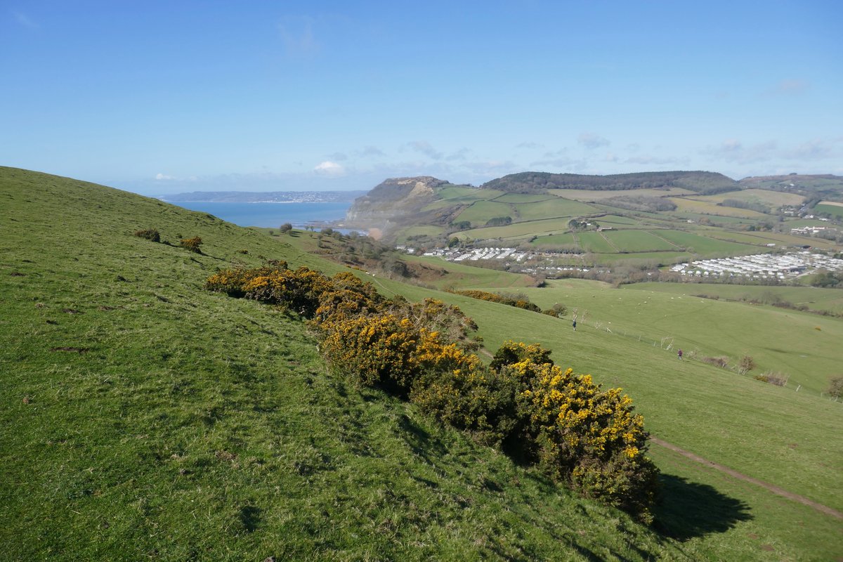 rogerahicks's tweet photo. Following the rain on Wednesday, yesterday was a beautiful sunny day. I caught the bus (too early to use my pass, damn it!) to #Chideock, from where I walked to Seatown & over the cliffs to West Bay. Here some photos of Seatown, all with #GoldenCap & #LymeRegis in background. https://t.co/xzYTWgEb5v
