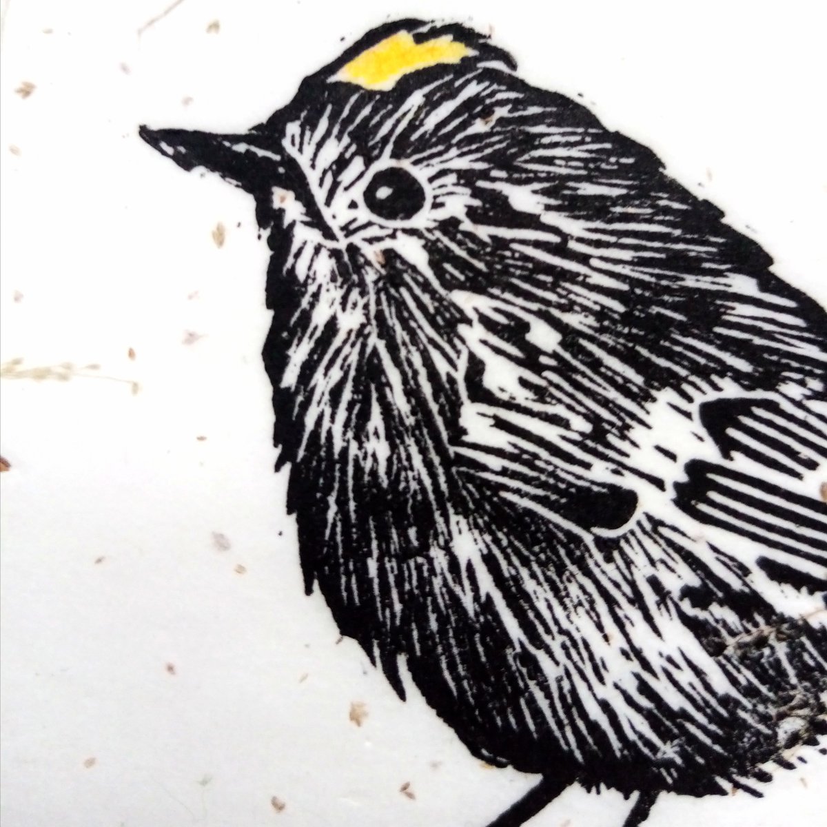 APrintmaker's tweet image. The tiny head of a tiny goldcrest on a tiny print 🌞   #linocut #ukprintmaker #birdartist #goldcrest #cute #babybird #wildlifeartist #birdart #birdprint #britishwildlife