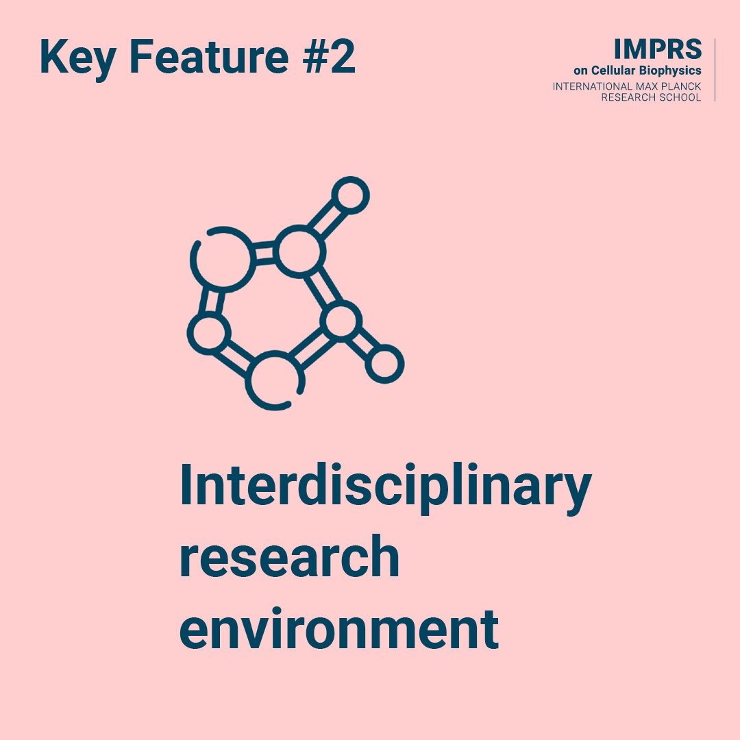 imprs_cbp's tweet image. What do we offer? #keyfeature 2: Our research areas vary from #StructuralBiology to #Biochemistry &amp;amp; #TheoreticalBiophysics. This diversity fosters different perspectives, #interdisciplinary thinking, integrative approaches &amp;amp; cooperations.@MPIbp @goetheuni @uni_mainz @fias_science