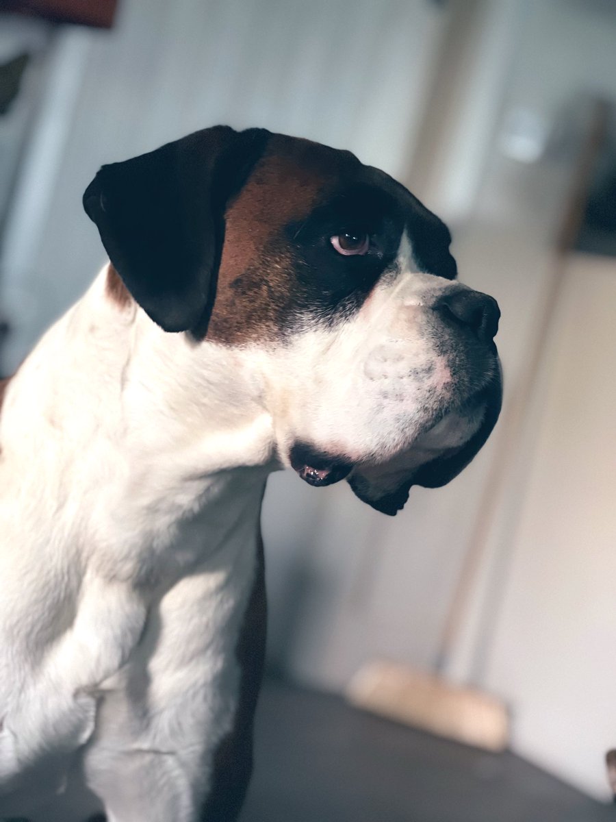 Charlotte tweet media