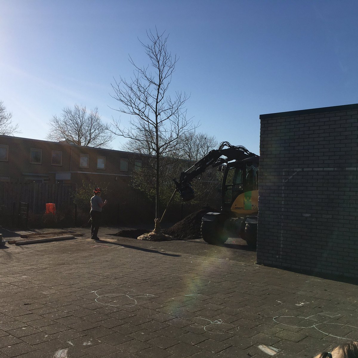 OBSDigitalis's tweet photo. Een prachtige plataan voor het schoolplein. De kleuters hebben gekeken hoe zo’n grote boom geplant wordt! @ggcAlmere @GezondeSchoolNL https://t.co/fGYpG4LHWc