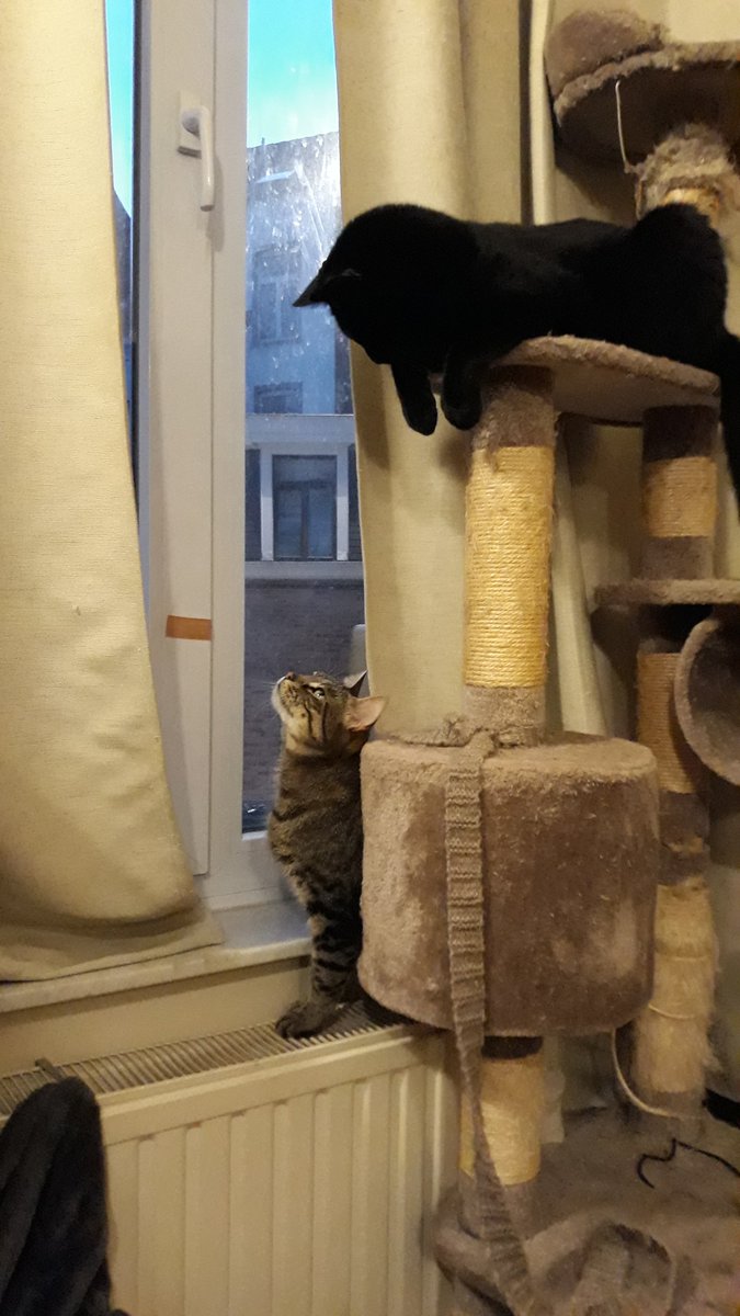 Bald geht's ins WE mit meinen beiden Süßen #LillyundToni #Bruxelles