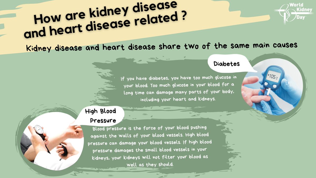 World Kidney Day tweet media