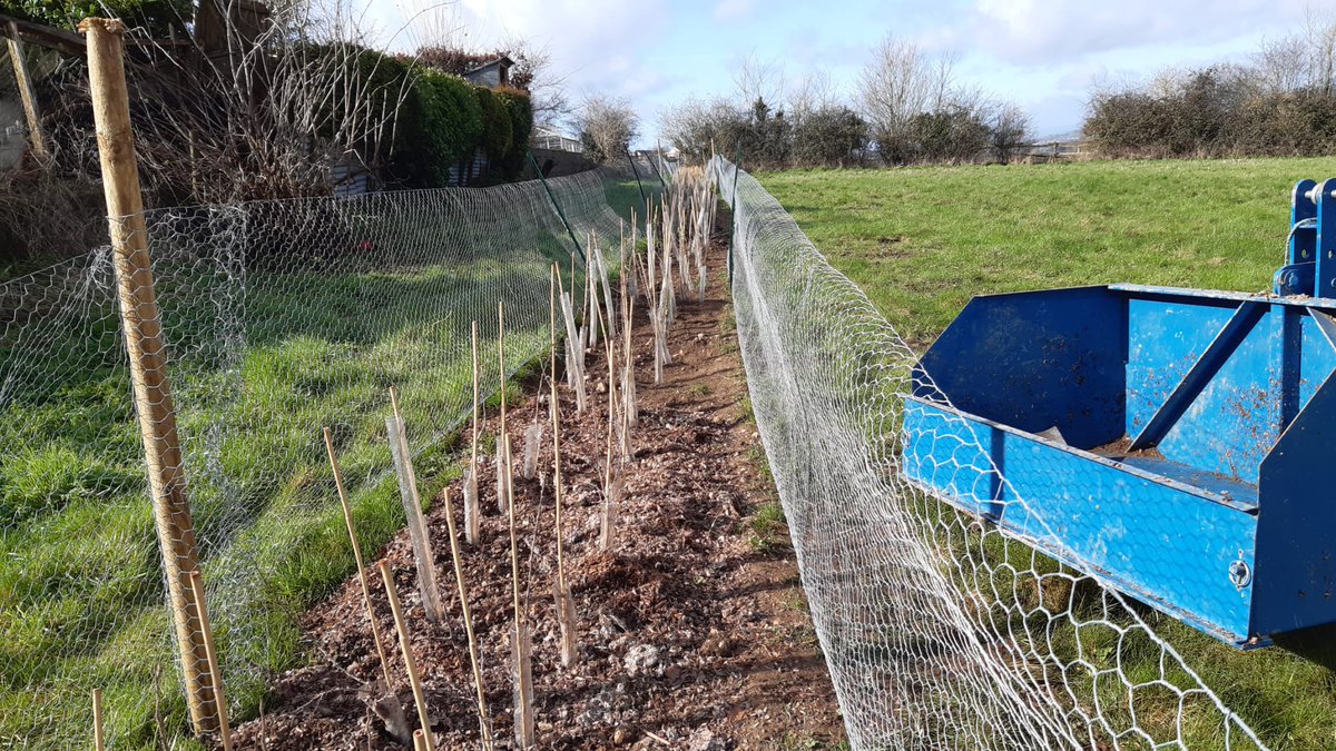 Great success for our # farming in the protected Landscapes project. Our joint venture with #CPRE AND #Soroptomists of Cirencester planted over 4km of hedge and 440 trees in Gloucestershire, with 75 volunteers.