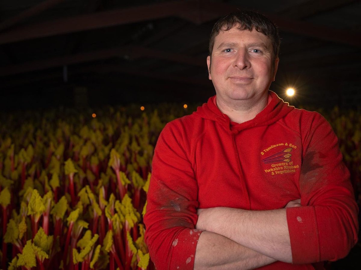 Yesterday we had an exceptional day filming day with <a href="/RhubarbRobert/">Robert Tomlinson</a> at Tomlinson's Farm in Pudsey, championing their seasonal Yorkshire forced rhubarb. Stay tuned as we will be sharing all very soon. 📸 <a href="/coladauk/">Colada Creative</a>