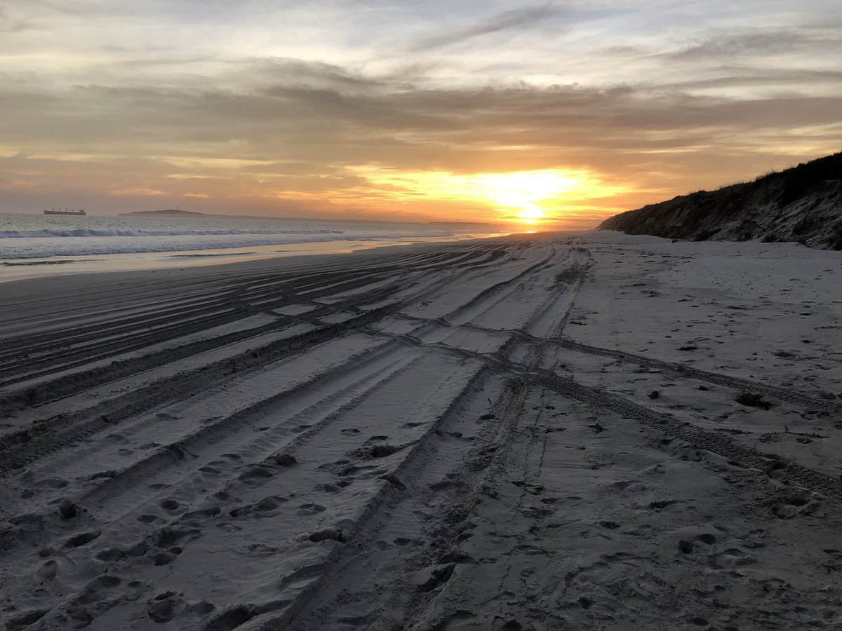 Ryan Meldrum tweet media