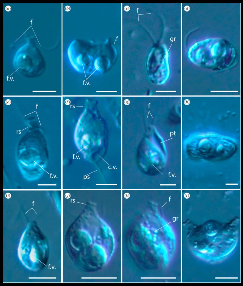 Fabien Burki tweet media