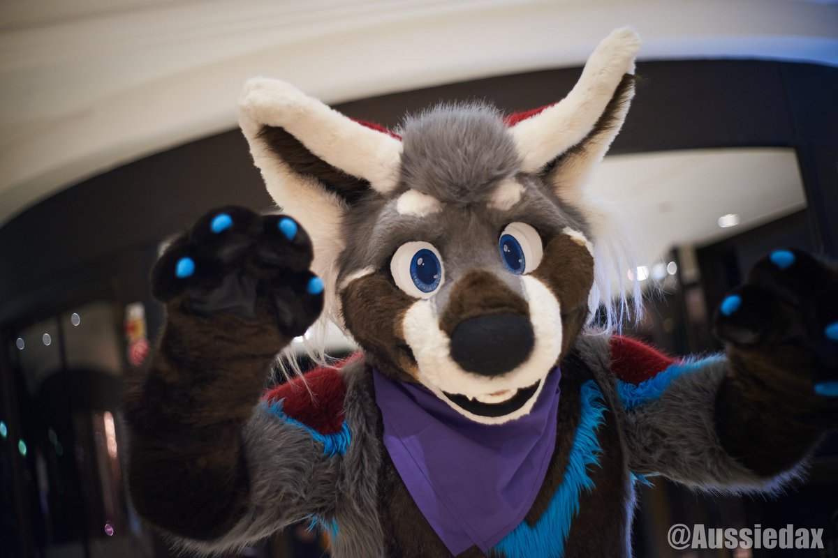 titanpandaroo's tweet photo. Did you know? The film #TurningRed was originally going to be called #TurningDerp but Titan was too busy hugging at the time to film the movie! #FursuitFriday #SuchAPanderp https://t.co/1S3xyLGkOG