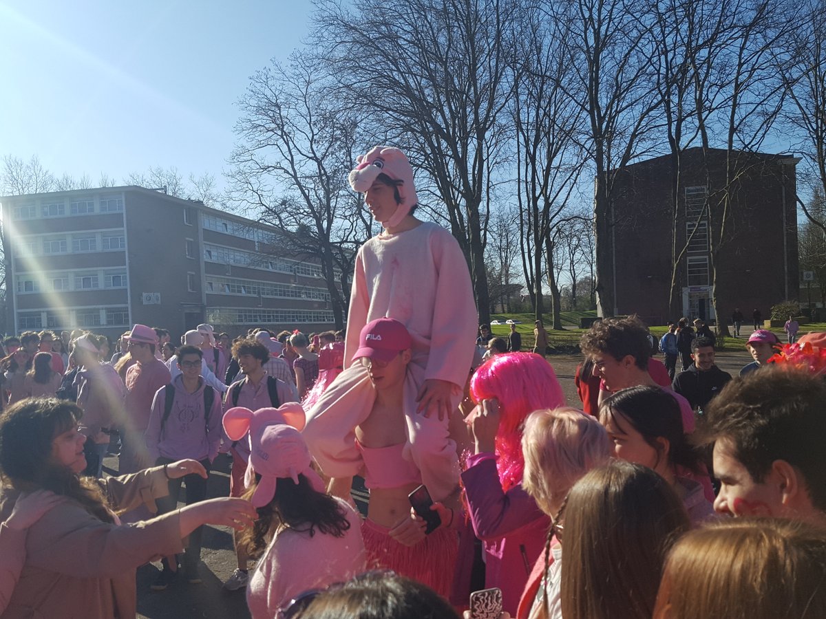 Faidherbe_Lille's tweet photo. La fin des célébrations @Faidherbe_Lille  avec la "Pink" des taupins et des taupines 😀😀🐯🎉🦩🙌👏 https://t.co/NP4q9KaR3J
