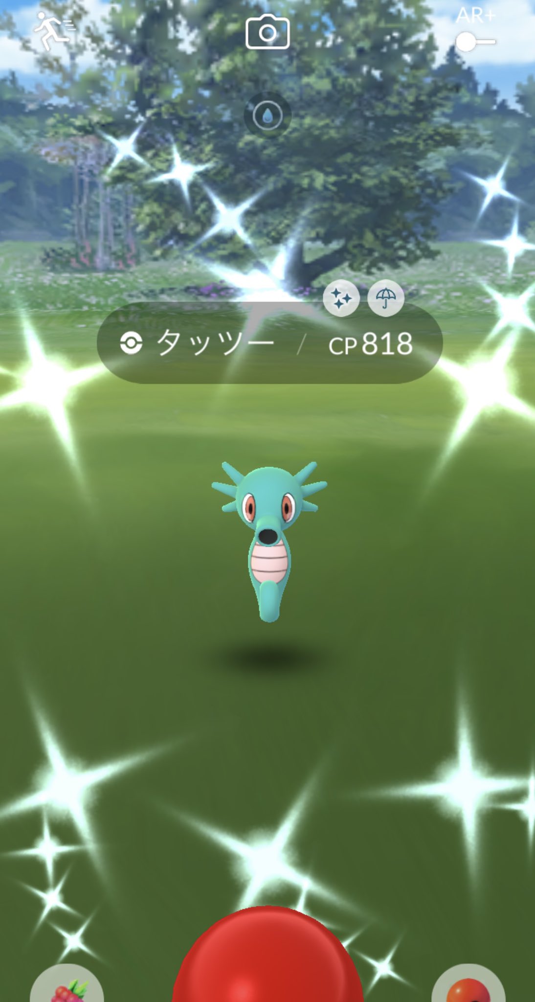 Snowman905 やったぁ タッツー色違い3匹目 やっとキングドラに 進化させられる ポケモンgo タッツー 色違い T Co Zroj4cfaml Twitter Snowman905 やったぁ タッツー色違い3匹目 やっとキングドラに 進化させられる ポケモンgo タッツー 色違い T Co Zroj4cfaml Twitter