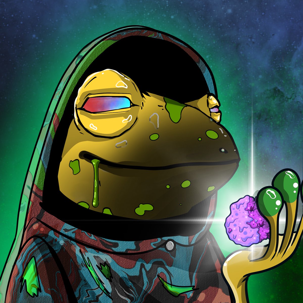 The Stoned Frogs tweet media
