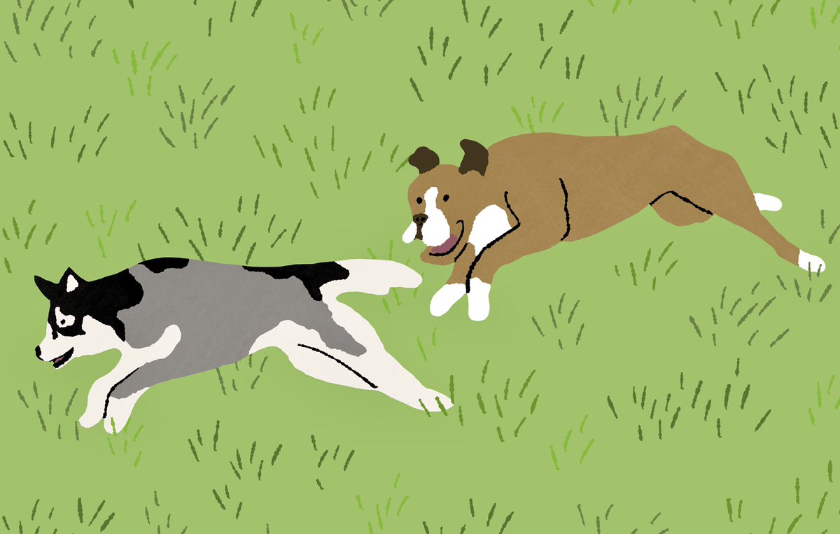 Perri Greeley tweet media