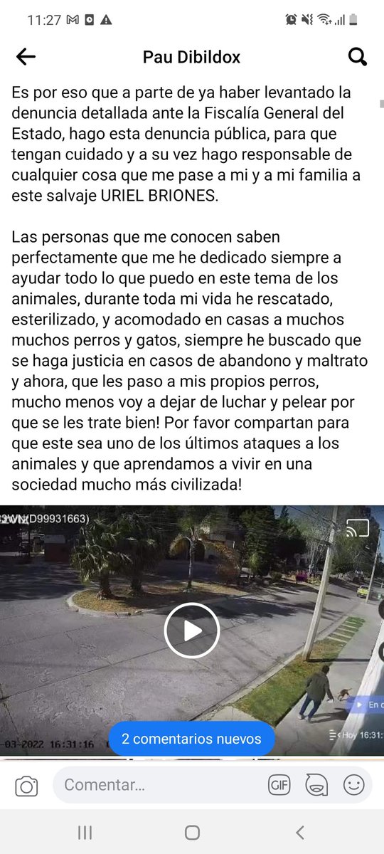 Cynthia44314769's tweet photo. Bajo ninguna circunstancia es aceptable este tipo de maltrato animal!! @Planoinforma @codigosanluisi @RGC_Mx @OmarNNoticias @pulso_mx #ChumelTorres #MaltratoAnimal https://t.co/b2n53MrvKq