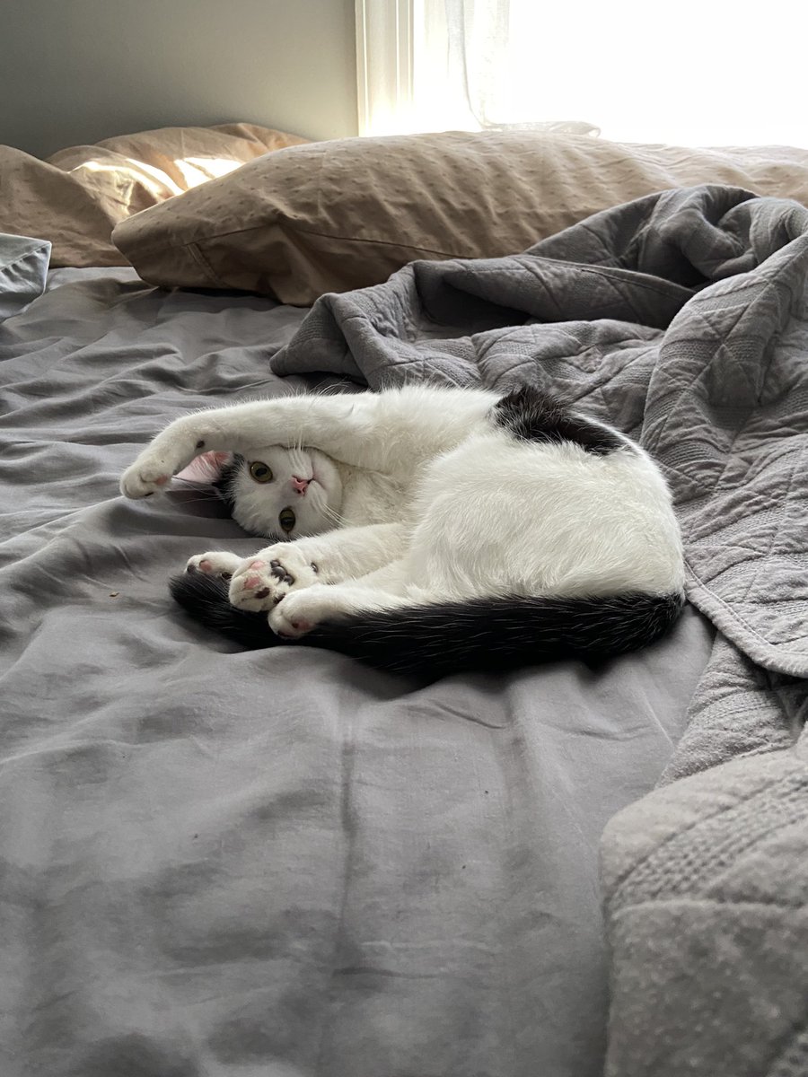 okmiza_'s tweet photo. Jus chillin https://t.co/KTJK63qZXa