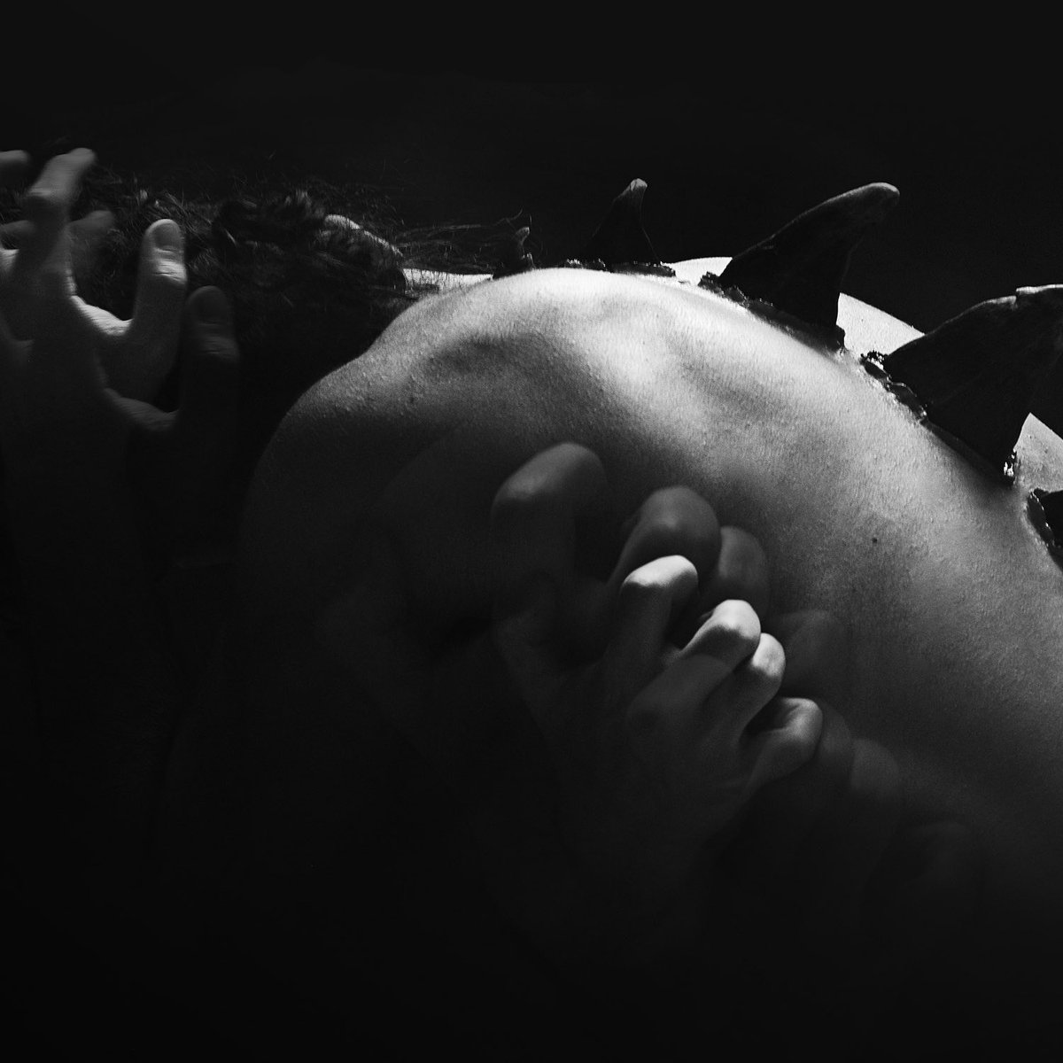 JoaquinBondoni's tweet image. DRAGÓN OUT NOW!!!!!