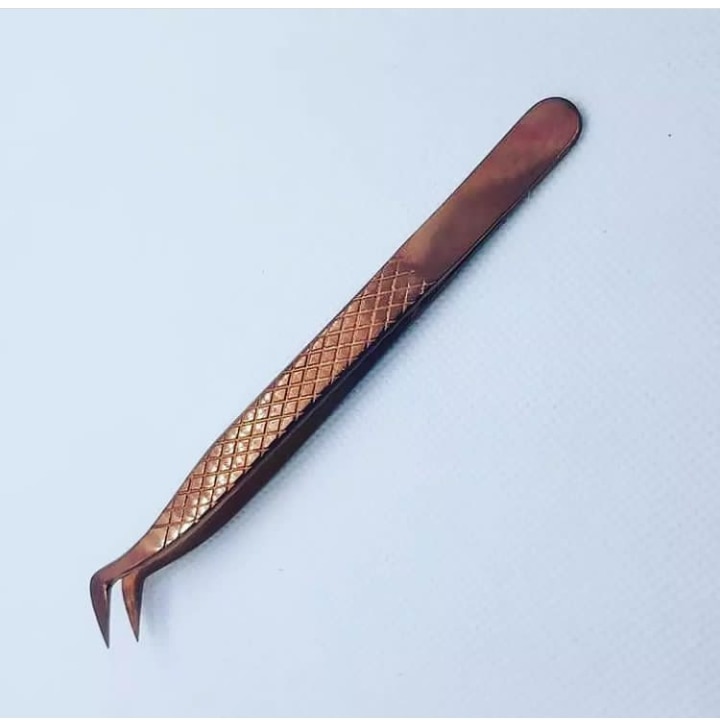 MattuShani's tweet image. 