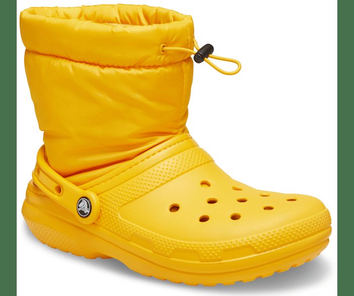 🦝🐈🌿🌸🌲🍃🌱💜 tweet media