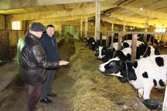 Глава Ивановского района Сергей Низов посетил фермерское хозяйство Юрия Чухина 
vlast.io/glava-ivanovsk…
vlast.io/wp-content/upl…